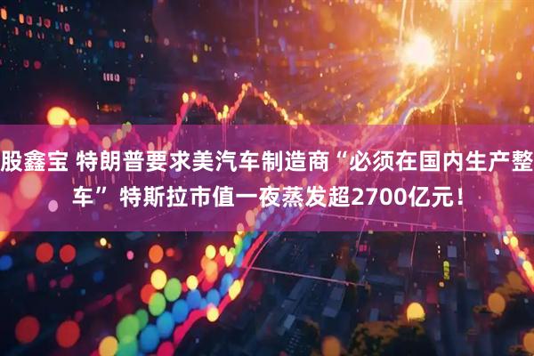 股鑫宝 特朗普要求美汽车制造商“必须在国内生产整车” 特斯拉市值一夜蒸发超2700亿元！