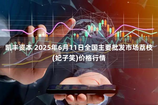 凯丰资本 2025年6月11日全国主要批发市场荔枝(妃子笑)价格行情