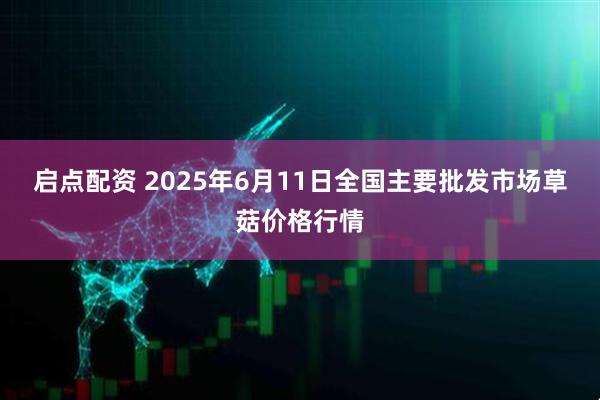 启点配资 2025年6月11日全国主要批发市场草菇价格行情
