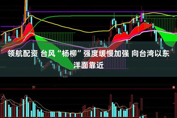 领航配资 台风“杨柳”强度缓慢加强 向台湾以东洋面靠近