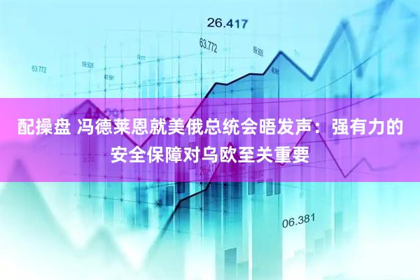 配操盘 冯德莱恩就美俄总统会晤发声：强有力的安全保障对乌欧至关重要