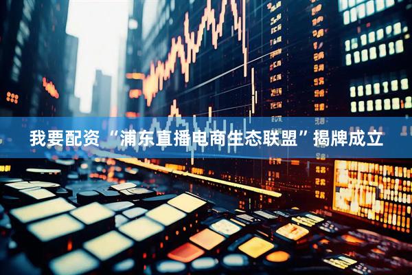 我要配资 “浦东直播电商生态联盟”揭牌成立